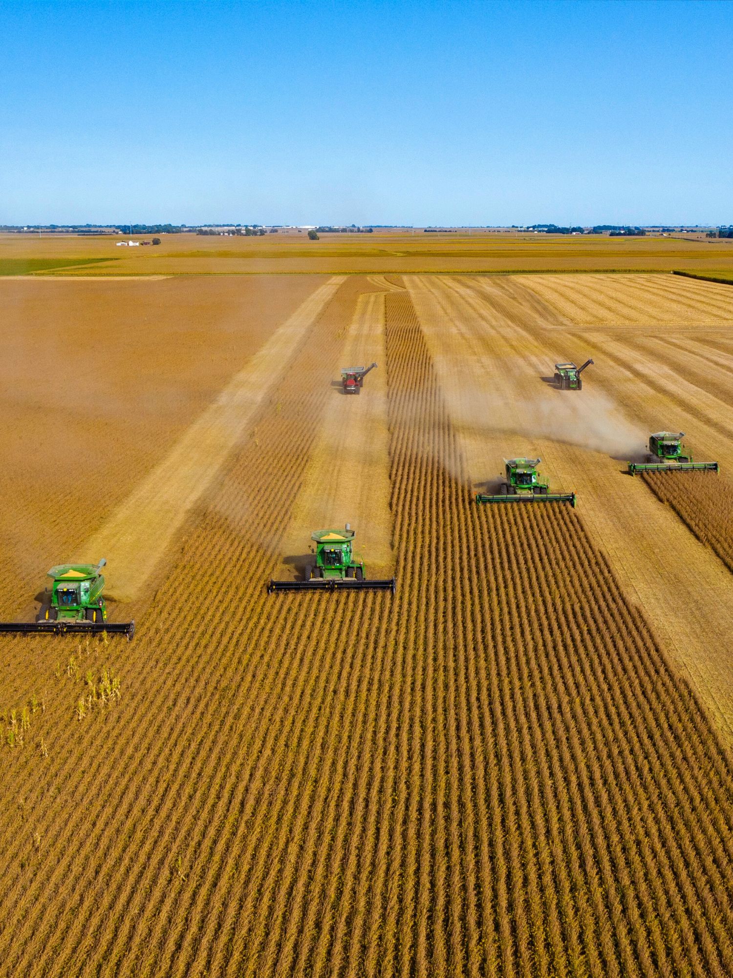 Agriculture