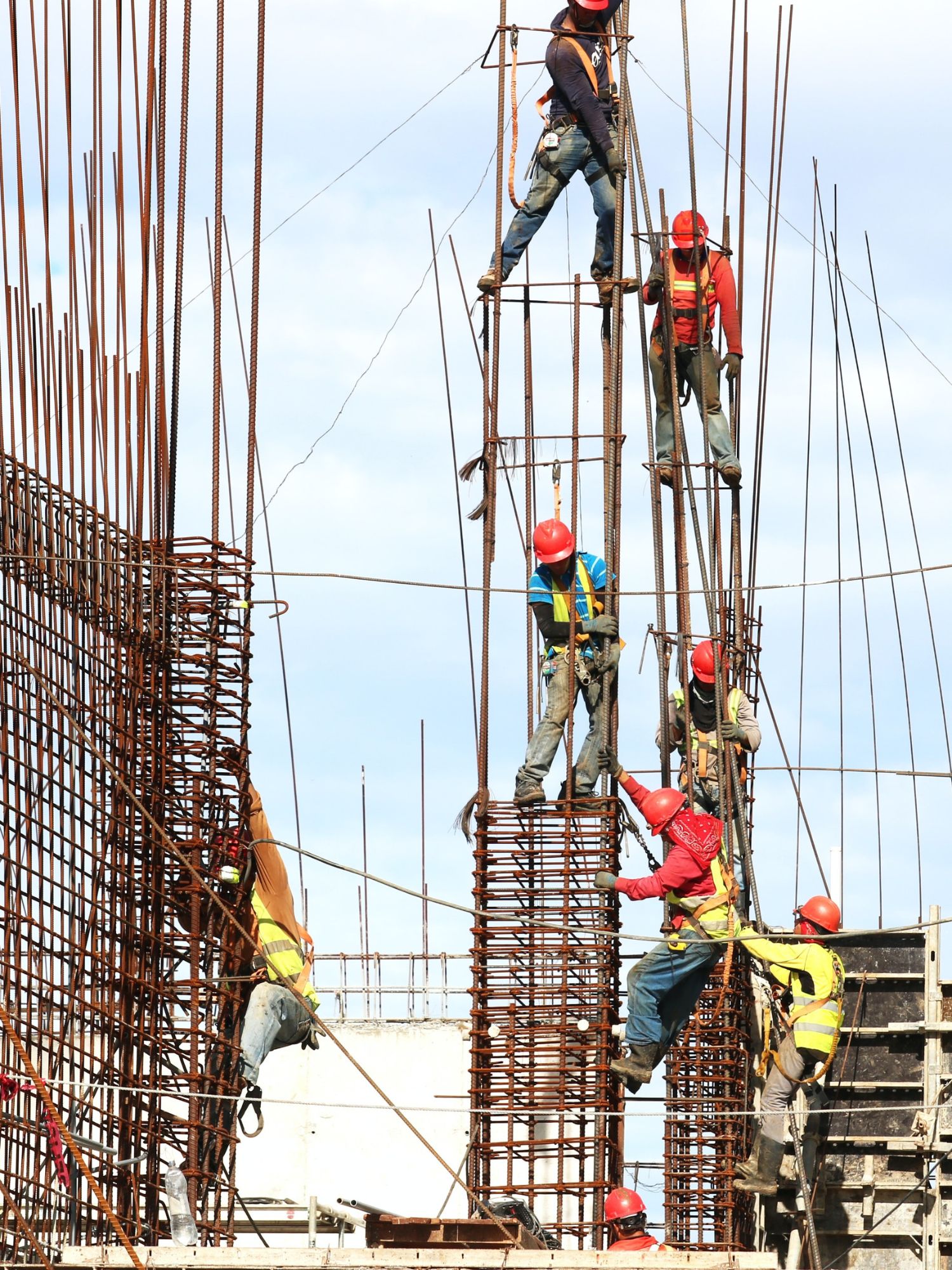 Construction and Project Management